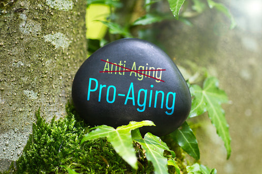 Understanding the Aging Process